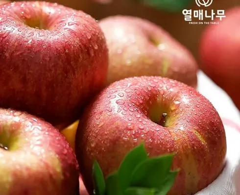 구매하고 후회하지 않은 열매나무 못난이 부사사과 3kg3kg 사용후기